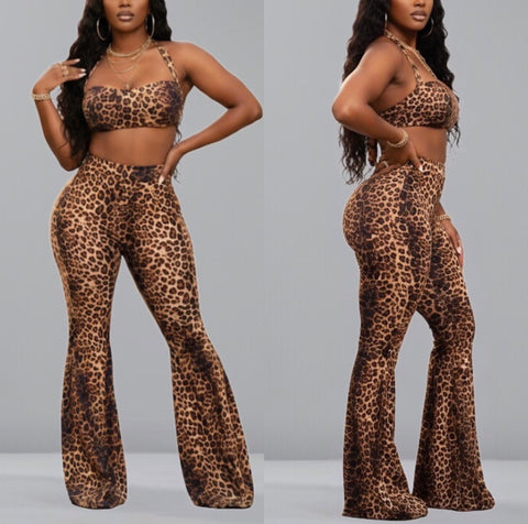Leopard Print Bell Bottom Tube Set